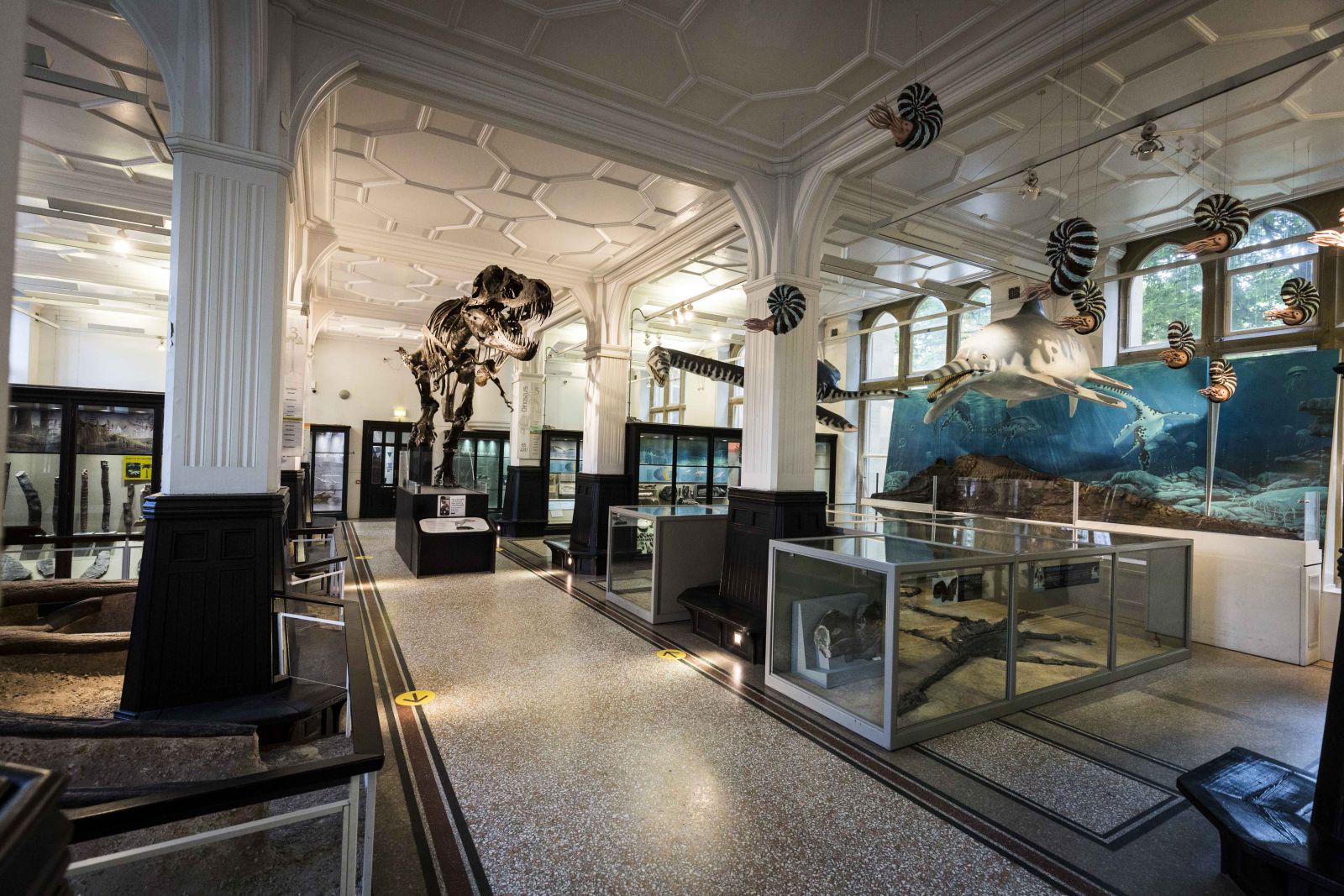 Manchester Museum - Fossils Gallery © Chris Bull